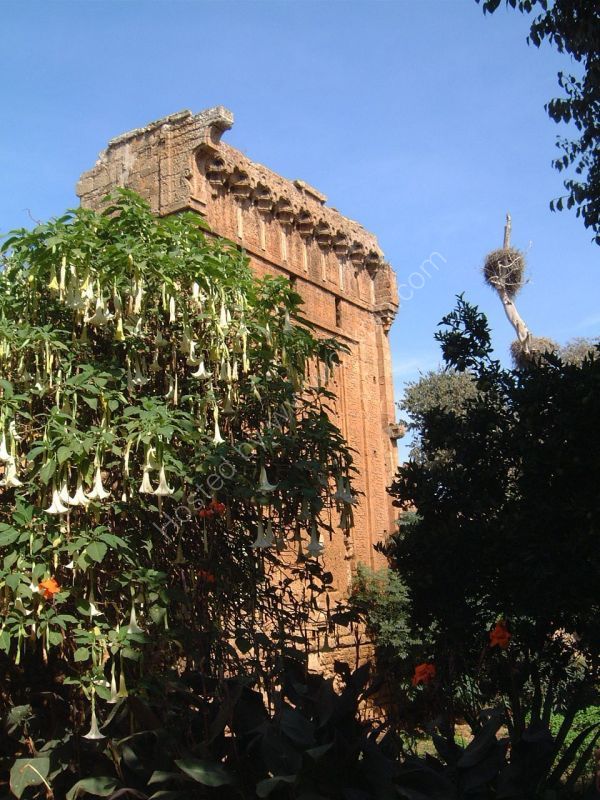 Decorated Wall, Chellah Necropolis, Rabat
